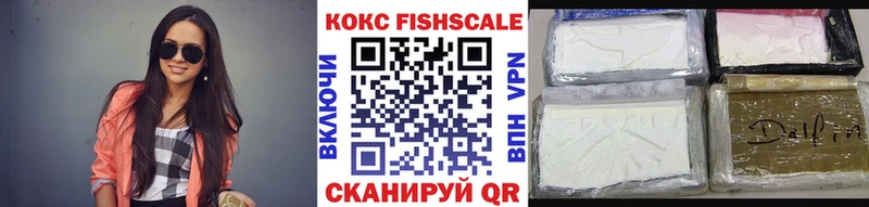 КОКАИН FishScale  дарнет шоп  Александровск 